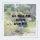 제주 한림읍 카페 영신상회 솔직후기(feat. 강아지/제주 나무소품샵)