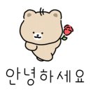 장등을 밝히다 이미지