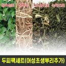 엄지농장 쇼핑하우