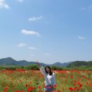 악양뚝방오리 이미지