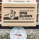 외룡송어회 캠핑장 이미지