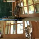 김수정농장 이미지