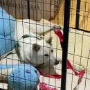 한아름 쉼터 이미지