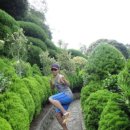 해금강바람애 이미지