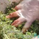 진안농장 이미지
