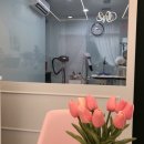 오늘DOG예쁨 이미지