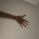 (주)픽스멜연구소 | 너희는 목숨 걸고 축구를 해본 적 있냐?