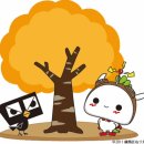 한국 11일-15일 차: 알라딘 중고서점과 교보문고, 걷기 좋은 내 고장, 쿠팡에 빠졌다