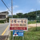 은행나무집 네이버블로그