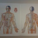 엔젤안마원 이미지