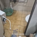 새오약국 네이버블로그