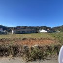 나진별채 이미지