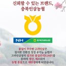 충북인삼농협고려인삼창 이미지