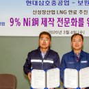 엠앤피 뉴시스