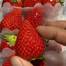 달코미상회 이미지