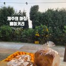 제주의아침베이커리 | 제주 애월 빵집 추천｜제주의아침베이커리 하가점 빵지순례 후기 (모닝할인 정보)