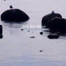 물멍물멍 이미지