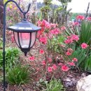 햇귀풍경 이미지