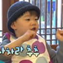 고기차차