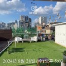 코지스테이 이미지