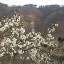 황재농장 이미지