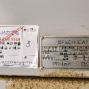 (주)에스케이디 이미지