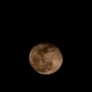 서예(야간) 이미지