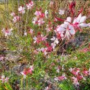 무민공원 이미지