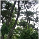 해미민박 이미지