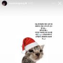 네일다 이미지