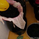 [효소 유의사항] 산야초효소 건데기의 재활용 방안﻿﻿ 이미지