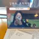 조양민박 - 17653 | 강화도 뚜벅이 무계획 혼자여행 잠시섬 2일차 (유유기지, 글쓰기, 산책)