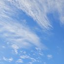 더 머물다 이미지