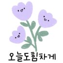 플레르밋