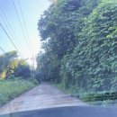 무공간 | 오포 카페 무공간 후기ㅣ분위기와 힐링, 보는 재미까지(반려견 동반)