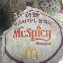 치와와처럼 살고싶어