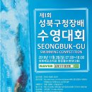 구청장배 수영대회 티스토리
