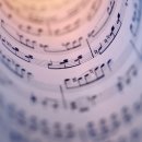 포레스트음악학원 이미지