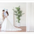 스튜디오아리와 이미지