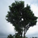 서문24시마트 이미지