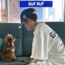 GALLERY(갤러리) 이미지