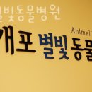 개포별빛동물병원 이미지