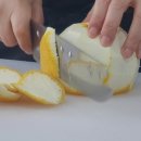 하귤과보리 이미지