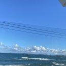 블랑도도 이미지