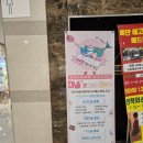 버니팔레트미술학원 | 동탄 키즈미술수업 후기 마음팔레트 아트스튜디오 원데이클래스