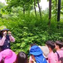 고일어린이집 이미지