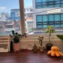 시현헤어 - 구미시 | 시현헤어