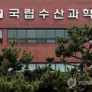 대대수산 이미지