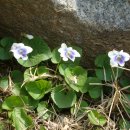 서곡리 마을회관 이미지