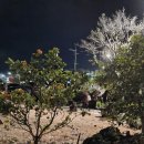 연우네민박 이미지